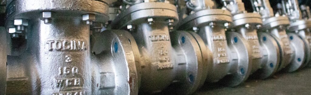 Tocina Valves